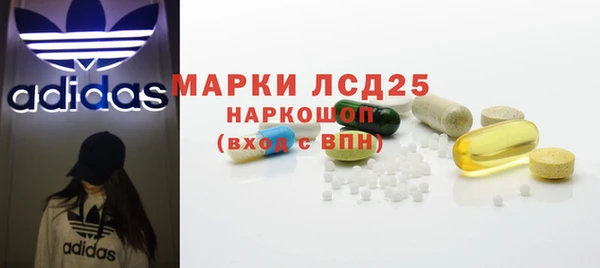 ПСИЛОЦИБИНОВЫЕ ГРИБЫ Алексеевка