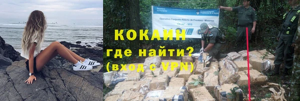 ПСИЛОЦИБИНОВЫЕ ГРИБЫ Алексеевка