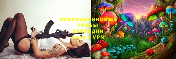 ПСИЛОЦИБИНОВЫЕ ГРИБЫ Алексеевка