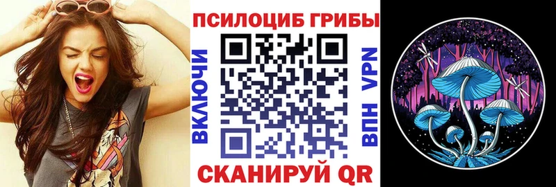 Галлюциногенные грибы GOLDEN TEACHER  где найти наркотики  Апрелевка 