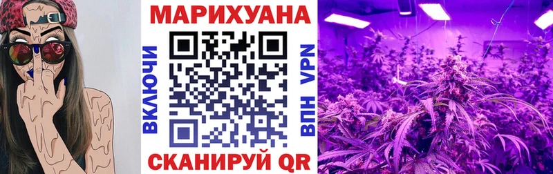 купить закладку  Апрелевка  Каннабис SATIVA & INDICA 